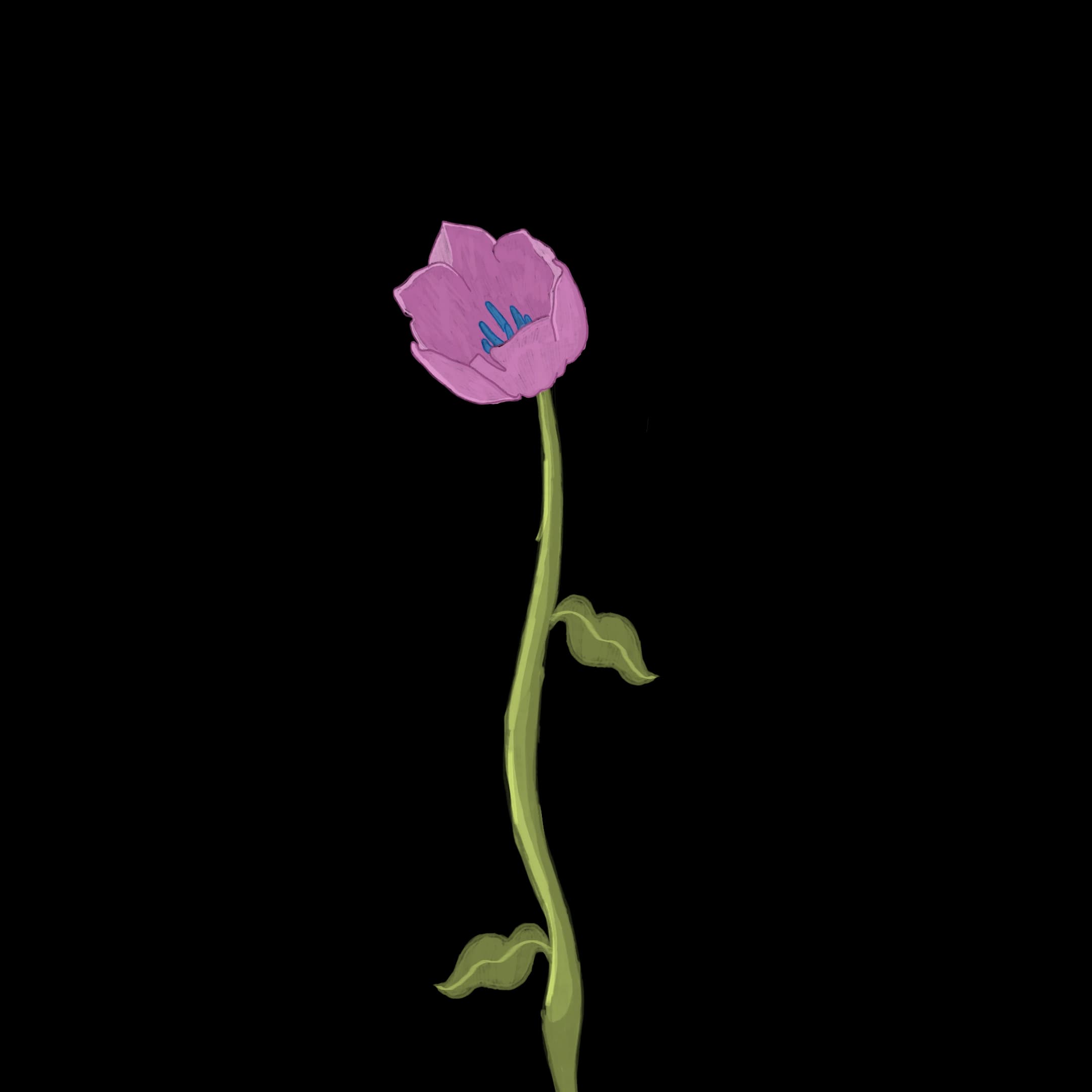 Cervical Cancer Screening illustration