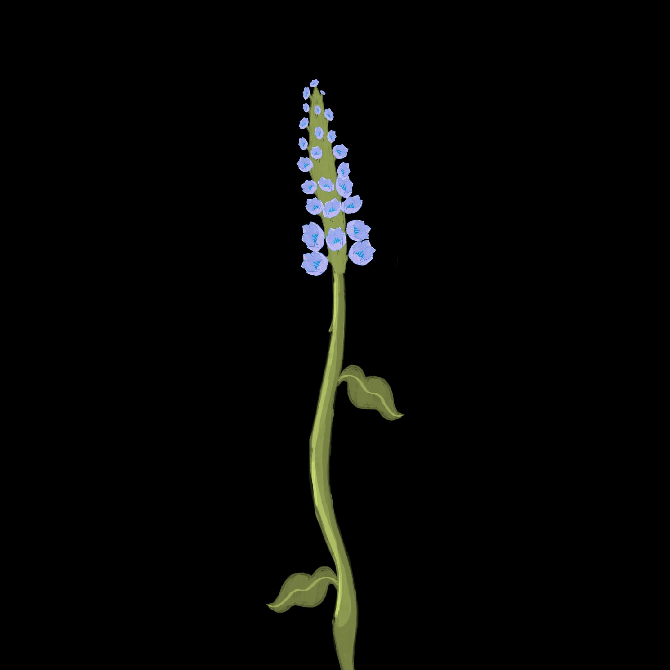 Cervical Cancer Screening illustration