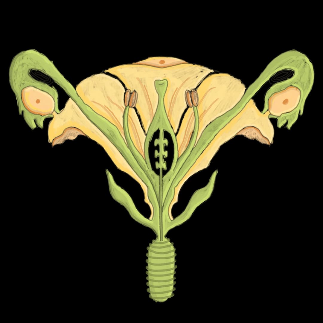 Cervical Cancer Screening illustration