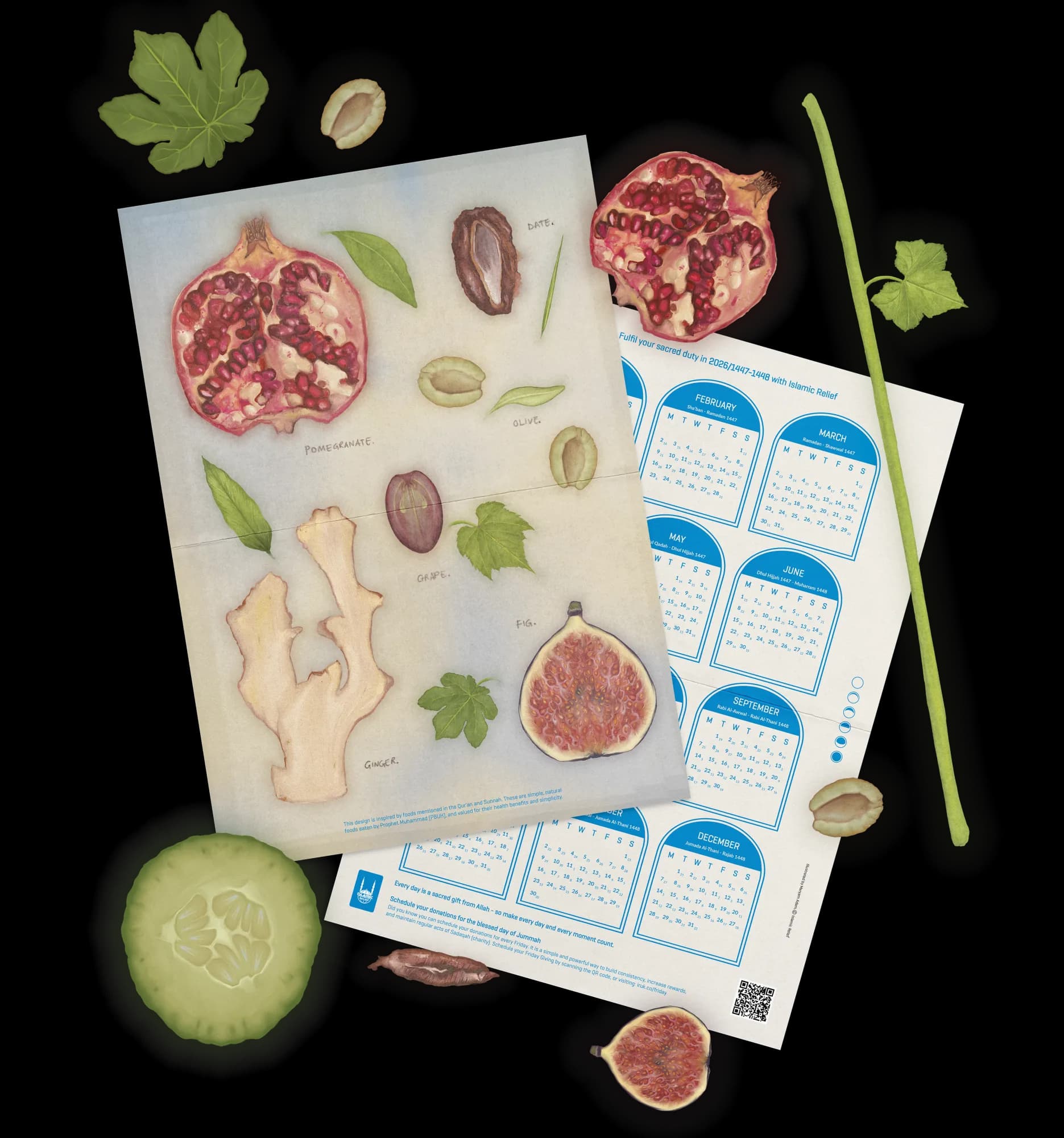 Islamic Relief illustrated calendar pack