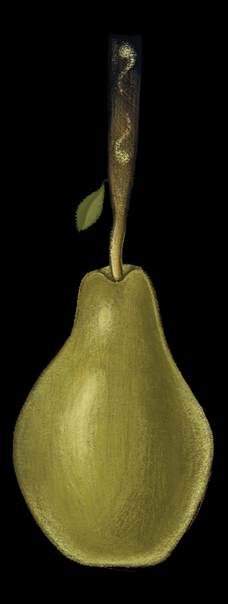 Unappealing pear detail