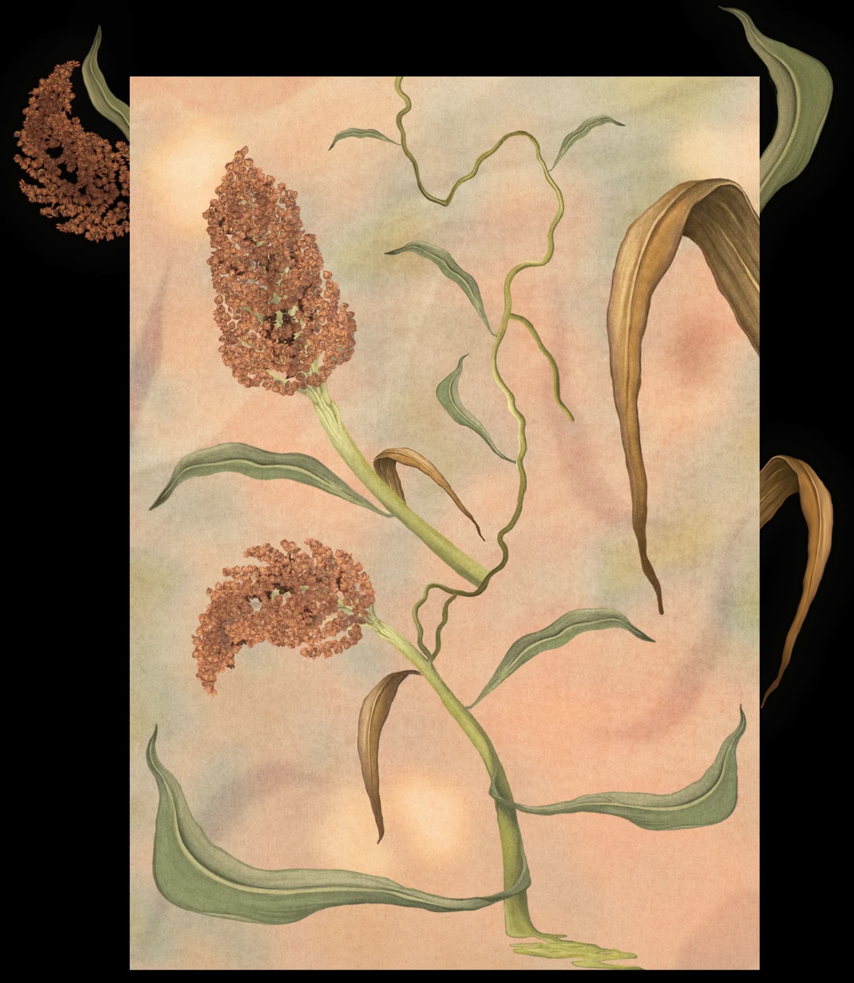 Roots for Resistance illustration