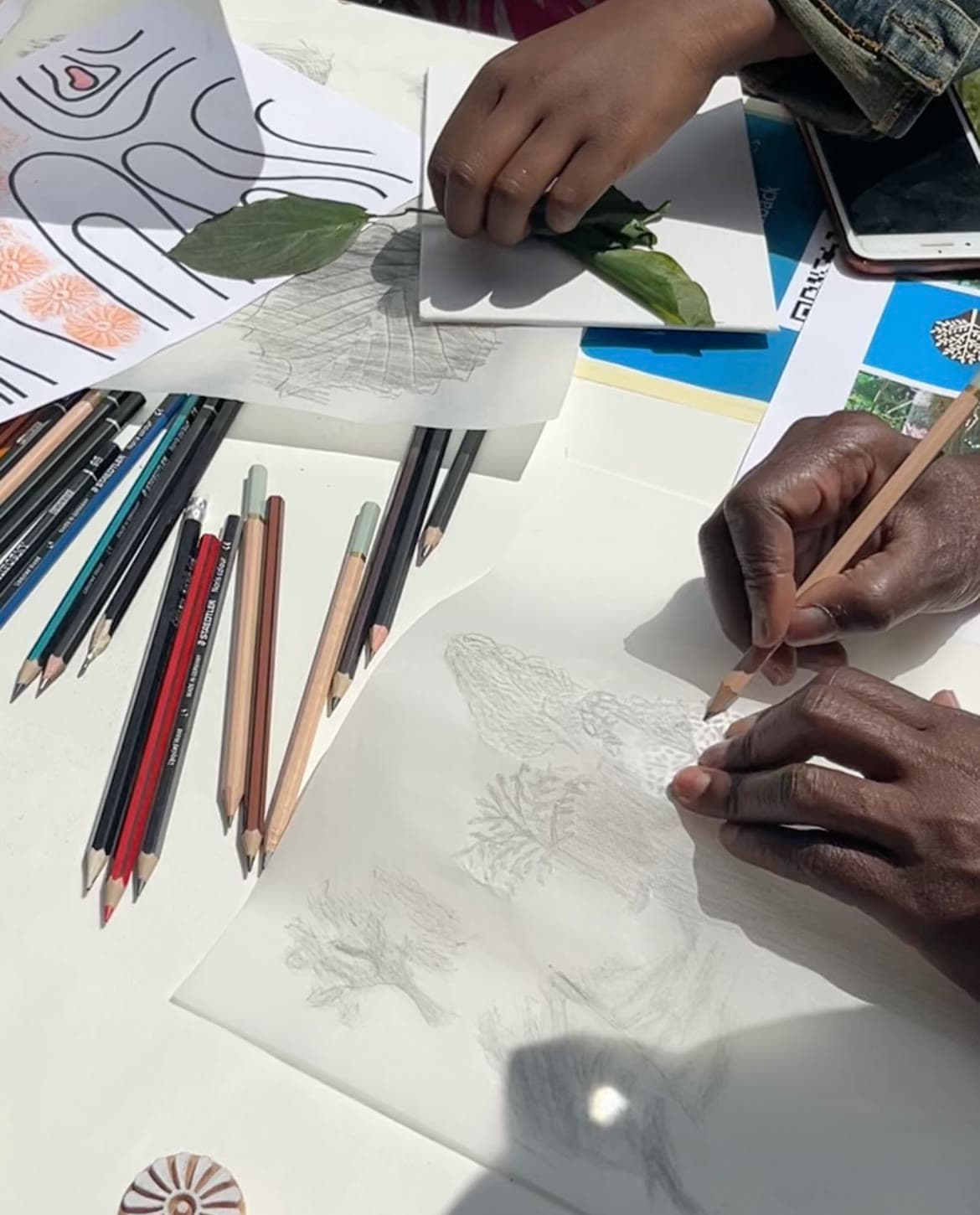 Rosetta Arts Artist Accelerator Programme